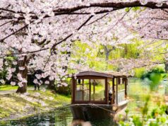 Errores que cometí cuando visité Japón por primera vez
| Travel,japan,tokyo,travel Errores que cometí cuando visité Japón por primera vez
| Travel,japan,tokyo,travel