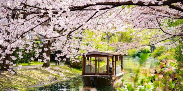Errores que cometí cuando visité Japón por primera vez

 | Travel,japan,tokyo,travel