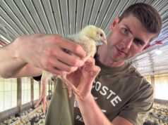 Dejé mi trabajo en el banco y abrí una granja de pollos en Filipinas.
| Careers,as-told-to,asia,small-business Dejé mi trabajo en el banco y abrí una granja de pollos en Filipinas.
| Careers,as-told-to,asia,small-business