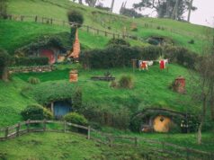 Palantir insta a los ex empleados a regresar: ‘la Comarca está llamando’
| AI,palantir,ai,employment,corrections Palantir insta a los ex empleados a regresar: 'la Comarca está llamando'
| AI,palantir,ai,employment,corrections