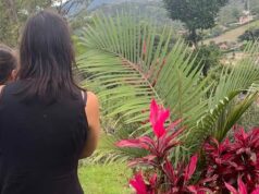 Me mudé de Texas a Colombia. La vida es más barata y tenemos una comunidad aquí.
| Real Estate,colombia,austin,expat,childcare,cost-of-living,moving,relocation Me mudé de Texas a Colombia. La vida es más barata y tenemos una comunidad aquí.
| Real Estate,colombia,austin,expat,childcare,cost-of-living,moving,relocation