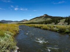 Contratación exclusiva del Yellowstone Club para casi 80 trabajos de verano
| Careers,Travel,job-listing,private-clubs,lifestyle,cool-jobs,members-only,exclusive,billionaires,wealth Contratación exclusiva del Yellowstone Club para casi 80 trabajos de verano
| Careers,Travel,job-listing,private-clubs,lifestyle,cool-jobs,members-only,exclusive,billionaires,wealth