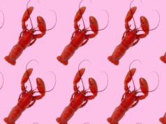 Sombreros de langosta, manos en forma de garra: OpenClaw vive un momento cultural
| AI,open-claw,china Sombreros de langosta, manos en forma de garra: OpenClaw vive un momento cultural
| AI,open-claw,china