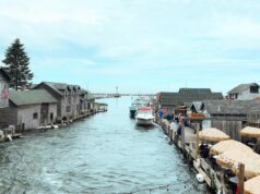 Ciudades de Michigan que se parecen a Europa: Alemania y los Países Bajos
| Travel,travel,michigan,midwest,frankenmuth,holland,amsterdam,germany,mackinac-island,freelancer-le,evergreen-story Ciudades de Michigan que se parecen a Europa: Alemania y los Países Bajos
| Travel,travel,michigan,midwest,frankenmuth,holland,amsterdam,germany,mackinac-island,freelancer-le,evergreen-story