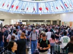 Las agresiones a agentes de la TSA aumentan un 500% mientras los aeropuertos piden paciencia
| Transportation,tsa,aviation,airports,travel,trending-uk Las agresiones a agentes de la TSA aumentan un 500% mientras los aeropuertos piden paciencia
| Transportation,tsa,aviation,airports,travel,trending-uk