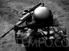 Lo que necesita saber al determinar el estado de alerta I
| Lo que necesita saber al determinar el estado de alerta I
|