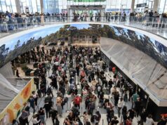 Las largas colas en los aeropuertos podrían desaparecer pronto ya que los senadores parecen optimistas sobre el acuerdo de financiación
| Las largas colas en los aeropuertos podrían desaparecer pronto ya que los senadores parecen optimistas sobre el acuerdo de financiación
|