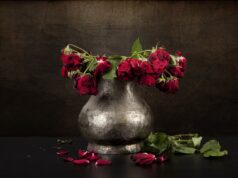 Podría acabar con su jubilación si descuida su IRA
| Podría acabar con su jubilación si descuida su IRA
|