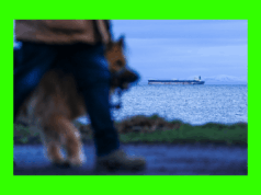 ¿Cree que el petróleo ruso calmará el pánico de suministro provocado por el conflicto iraní? Esto es lo que revelan los cálculos.
| ¿Cree que el petróleo ruso calmará el pánico de suministro provocado por el conflicto iraní? Esto es lo que revelan los cálculos.
|