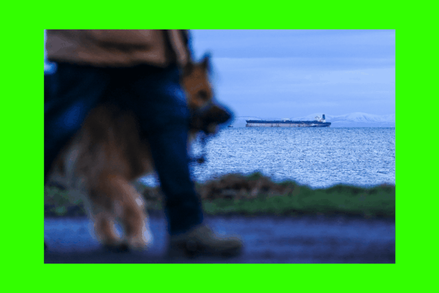 ¿Cree que el petróleo ruso calmará el pánico de suministro provocado por el conflicto iraní? Esto es lo que revelan los cálculos.

 | 