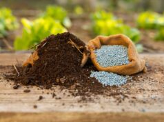 Es hora de vender estas acciones de fertilizantes que han sido las que más han ganado en el S&P 500, dice un analista
| Es hora de vender estas acciones de fertilizantes que han sido las que más han ganado en el S&P 500, dice un analista
|