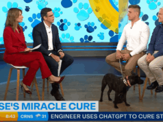 Es posible que Rose, la perra, haya anunciado la era de la medicina programable, y aquí están las acciones que se benefician de ella
| Es posible que Rose, la perra, haya anunciado la era de la medicina programable, y aquí están las acciones que se benefician de ella
|