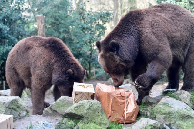 Estos gráficos sugieren que los bajistas aún no han terminado con el mercado de valores

 | 