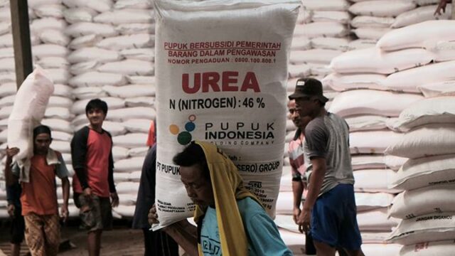 Prabowo recibe una llamada del Primer Ministro australiano y habla sobre el fertilizante de urea

 | 