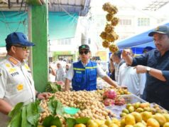 Los mercados populares de Sumatra afectados por las inundaciones funcionan al 93,33 por ciento
| Los mercados populares de Sumatra afectados por las inundaciones funcionan al 93,33 por ciento
|