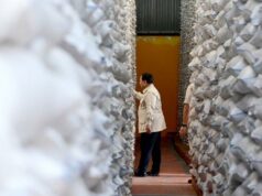 Prabowo inspecciona el almacén de Bulog en Magelang
| Prabowo inspecciona el almacén de Bulog en Magelang
|