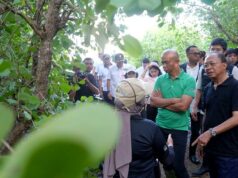 Colaboración del gobierno provincial de Bali para aumentar los espacios verdes abiertos
| Colaboración del gobierno provincial de Bali para aumentar los espacios verdes abiertos
|