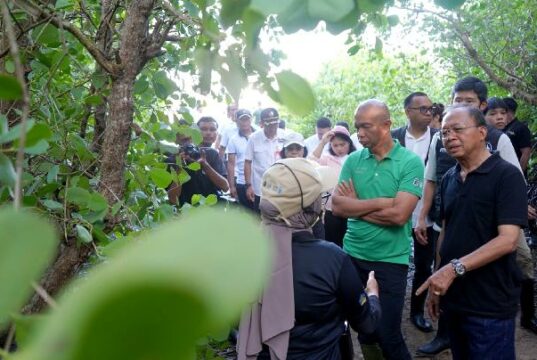 Colaboración del gobierno provincial de Bali para aumentar los espacios verdes abiertos
| Colaboración del gobierno provincial de Bali para aumentar los espacios verdes abiertos
|
