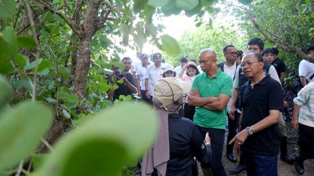 Colaboración del gobierno provincial de Bali para aumentar los espacios verdes abiertos

 | 