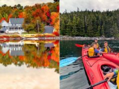 Destinos ocultos de viajes por carretera para familias en los Estados Unidos
| Travel,travel,family-travel,road-trip,hidden-gems,under-the-radar-destinations,us-national-parks,maine,south-carolina,utah,zion-national-park,alaska,glacier-national-park Destinos ocultos de viajes por carretera para familias en los Estados Unidos
| Travel,travel,family-travel,road-trip,hidden-gems,under-the-radar-destinations,us-national-parks,maine,south-carolina,utah,zion-national-park,alaska,glacier-national-park