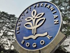 IPB investiga denuncias de violencia sexual en grupos de chat de estudiantes
| IPB investiga denuncias de violencia sexual en grupos de chat de estudiantes
|