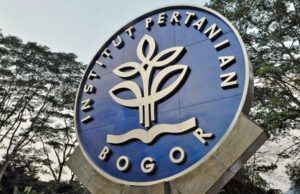 IPB investiga denuncias de violencia sexual en grupos de chat de estudiantes
| IPB investiga denuncias de violencia sexual en grupos de chat de estudiantes
|