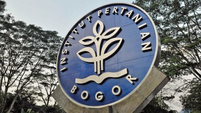 IPB investiga denuncias de violencia sexual en grupos de chat de estudiantes

 | 