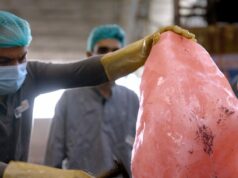 En Pakistán, en las peligrosas minas de sal rosa del Himalaya
| Economy,Food,International,video,mine,mining,salt-mining,himalayas,pink-salt,pink,khewra-salt-mine,pakistan,india,trade,supermarket,health,risky-business,video-format-risky-business,new-this-week-video En Pakistán, en las peligrosas minas de sal rosa del Himalaya
| Economy,Food,International,video,mine,mining,salt-mining,himalayas,pink-salt,pink,khewra-salt-mine,pakistan,india,trade,supermarket,health,risky-business,video-format-risky-business,new-this-week-video