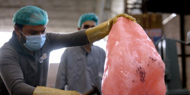 En Pakistán, en las peligrosas minas de sal rosa del Himalaya

 | Economy,Food,International,video,mine,mining,salt-mining,himalayas,pink-salt,pink,khewra-salt-mine,pakistan,india,trade,supermarket,health,risky-business,video-format-risky-business,new-this-week-video