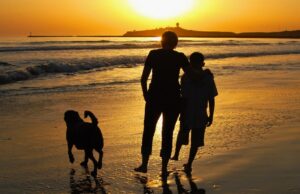 Yo solía guiar a mis hijos. Ahora que son adultos, sigo sus consejos.
| Parenting,essay,parenting,parenting-freelancer,adult-kids Yo solía guiar a mis hijos. Ahora que son adultos, sigo sus consejos.
| Parenting,essay,parenting,parenting-freelancer,adult-kids