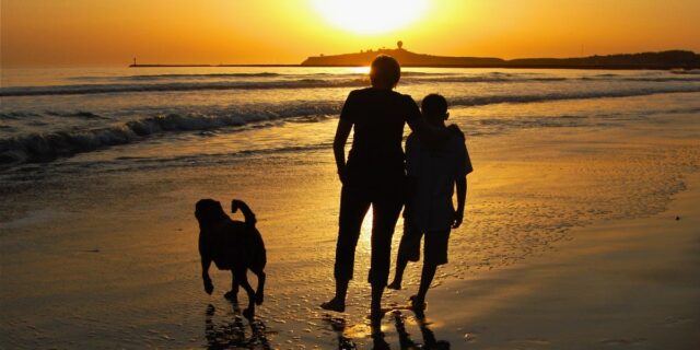 Yo solía guiar a mis hijos. Ahora que son adultos, sigo sus consejos.

 | Parenting,essay,parenting,parenting-freelancer,adult-kids