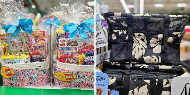 He trabajado en Costco durante 20 años. Aquí están 9 de las mejores cosas que veo en los estantes en este momento.

 | Retail,freelancer-le,costco,costco-finds,costco-employee,april