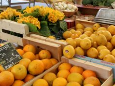 Vivir en Europa ha mejorado la forma en que planificamos nuestras comidas y compramos
| Food,Real Estate,freelancer-le,living-abroad,groceries-abroad,food,diet,groceries Vivir en Europa ha mejorado la forma en que planificamos nuestras comidas y compramos
| Food,Real Estate,freelancer-le,living-abroad,groceries-abroad,food,diet,groceries