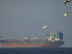 El tráfico en el Estrecho de Ormuz sigue paralizado pese al alto el fuego entre Estados Unidos e Irán
| Transportation,Energy,shipping,energy,oil,strait-of-hormuz,us-iran-conflict,us-iran-war El tráfico en el Estrecho de Ormuz sigue paralizado pese al alto el fuego entre Estados Unidos e Irán
| Transportation,Energy,shipping,energy,oil,strait-of-hormuz,us-iran-conflict,us-iran-war