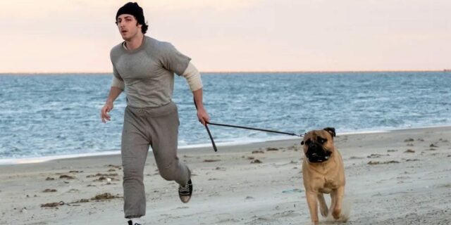 CinemaCon 2026: las 12 mejores películas originales

 | Entertainment,movies,cinema-con-2026,the-odyssey,disclosure-day,digger,the-social-reckoning