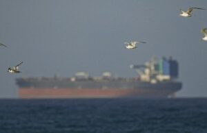 Los datos de tráfico muestran que los barcos pasan por el Estrecho de Ormuz
| Military & Defense,defense,strait-of-hormuz,iran,us-iran-war Los datos de tráfico muestran que los barcos pasan por el Estrecho de Ormuz
| Military & Defense,defense,strait-of-hormuz,iran,us-iran-war