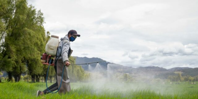 ¿Por qué los jóvenes padecen cáncer de colon? El herbicida se puede vincular

 | Health,colon-cancer,young-colon-cancer,picloram