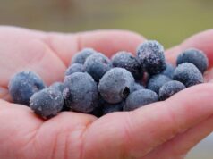 ¿Deberían ser tan caros los alimentos orgánicos?
| Retail,Food,so-expensive,organic,grocery,organic-farming,video-format-so-expensive ¿Deberían ser tan caros los alimentos orgánicos?
| Retail,Food,so-expensive,organic,grocery,organic-farming,video-format-so-expensive