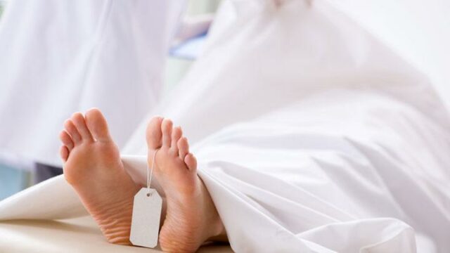 Datos sobre los escolares de Riau asesinados con armas de fuego caseras

 | 