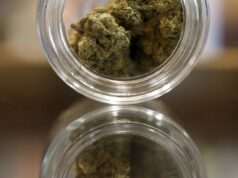 La reprogramación del cannabis genera celebración (y confusión) a medida que se venden las existencias de marihuana
| La reprogramación del cannabis genera celebración (y confusión) a medida que se venden las existencias de marihuana
|