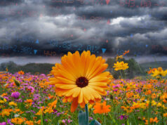 Abril es en general un buen mes para las acciones, pero tres factores están poniendo en peligro la recuperación del mercado.
| Abril es en general un buen mes para las acciones, pero tres factores están poniendo en peligro la recuperación del mercado.
|