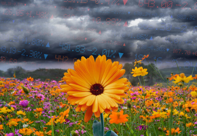 Abril es en general un buen mes para las acciones, pero tres factores están poniendo en peligro la recuperación del mercado.

 | 