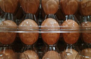 Las acciones de Cal-Maine caen mientras el Departamento de Justicia considera una mayor represión contra los principales productores de huevos
| Las acciones de Cal-Maine caen mientras el Departamento de Justicia considera una mayor represión contra los principales productores de huevos
|