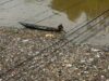 Gibran ayudará a encontrar patrocinadores para el movimiento River Clean
| Gibran ayudará a encontrar patrocinadores para el movimiento River Clean
|