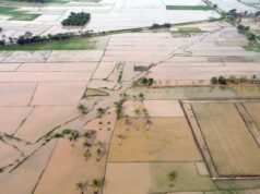 Ministerio del Interior evaluará a los responsables regionales que tardan en rehabilitar los arrozales
| Ministerio del Interior evaluará a los responsables regionales que tardan en rehabilitar los arrozales
|