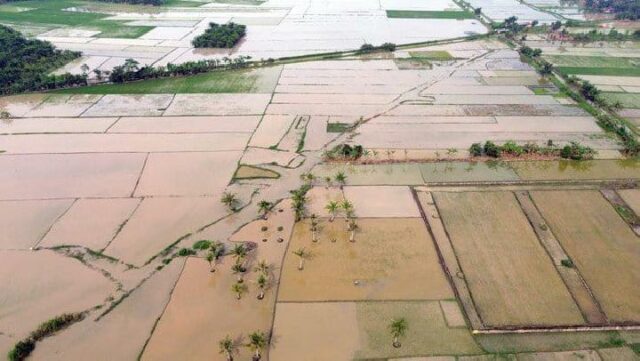 Ministerio del Interior evaluará a los responsables regionales que tardan en rehabilitar los arrozales

 | 