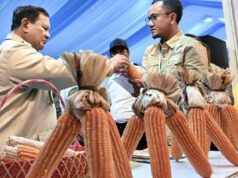 Big Corn Harvest y Prabowo elogian los logros de la Policía Nacional en el sector alimentario
| Big Corn Harvest y Prabowo elogian los logros de la Policía Nacional en el sector alimentario
|