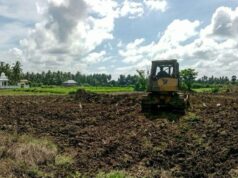 La rehabilitación de los campos de arroz moderadamente dañados en Bireuen está completa en un 85 por ciento y el objetivo de finalización está fijado para junio.
| La rehabilitación de los campos de arroz moderadamente dañados en Bireuen está completa en un 85 por ciento y el objetivo de finalización está fijado para junio.
|