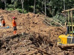 Deslizamiento de tierra azota la zona de Batangtoru; dos personas mueren
| Deslizamiento de tierra azota la zona de Batangtoru; dos personas mueren
|
