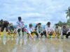 La rehabilitación del arroz tras el desastre en Sumatra aumenta en 4.000 hectáreas en 17 días
| La rehabilitación del arroz tras el desastre en Sumatra aumenta en 4.000 hectáreas en 17 días
|